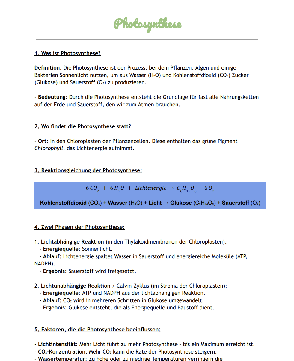 Photosynthese Zusammenfassung Abitur