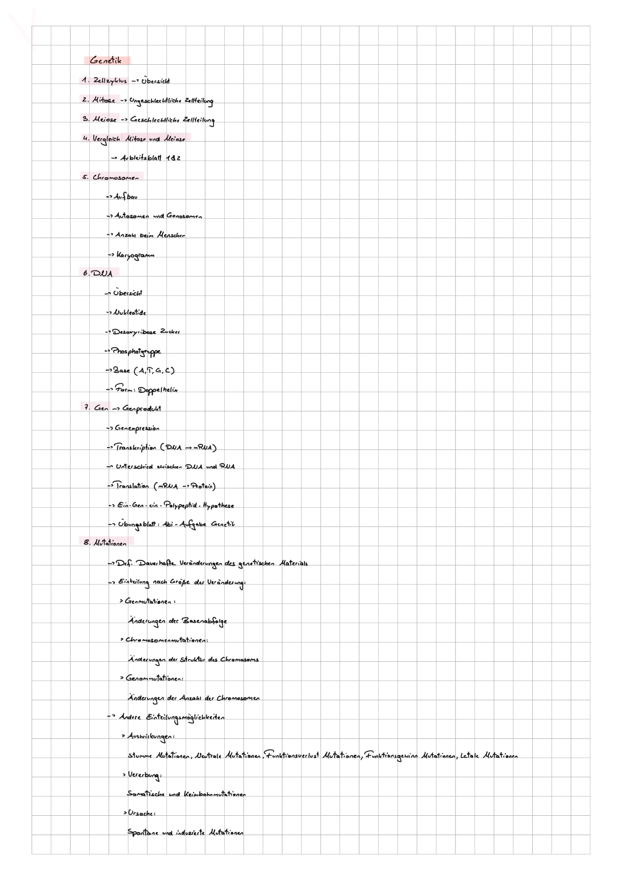 Genetik, Chromosomen, DNA und Gen