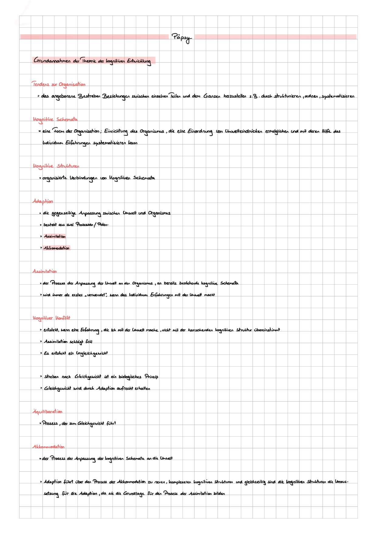 Kognitive Entwicklung